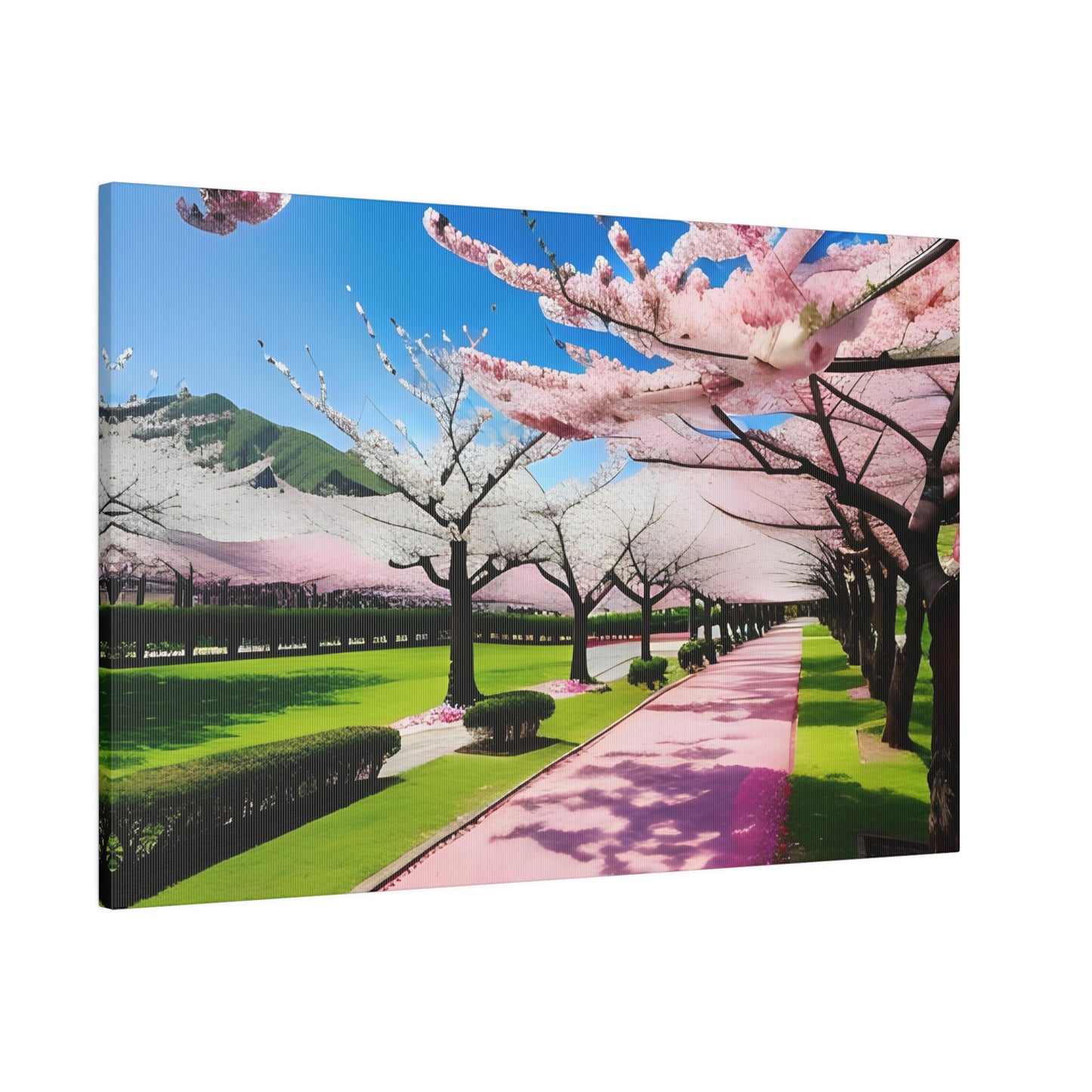 Matte Canvas, Cherry Blossom