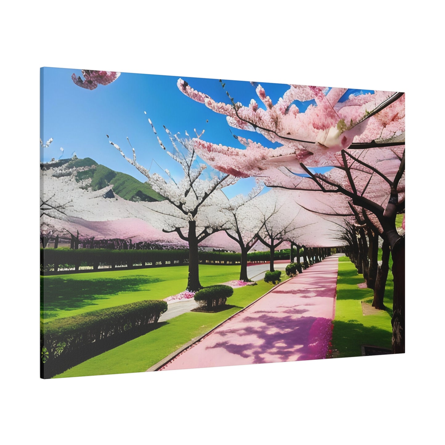 Matte Canvas, Cherry Blossom