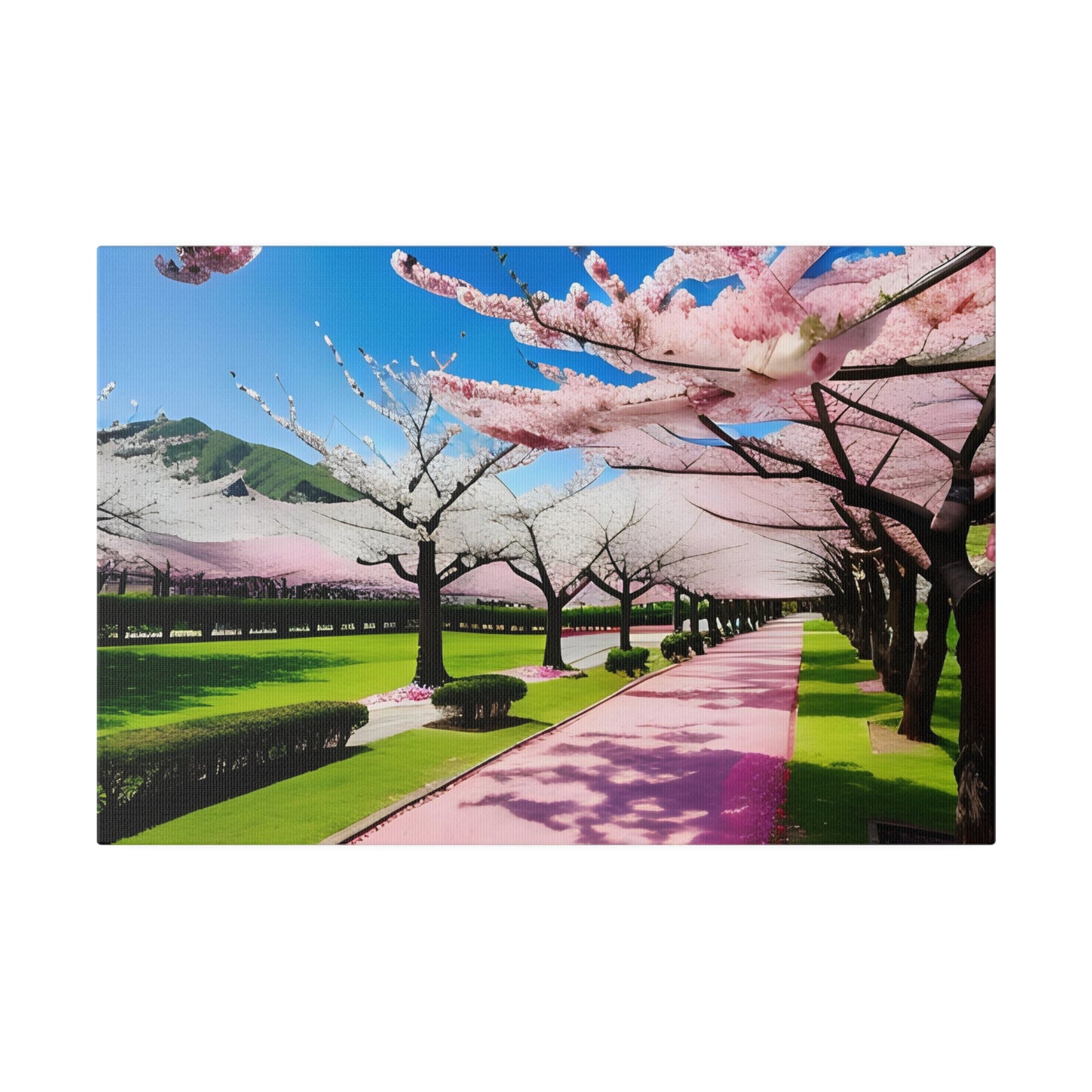 Matte Canvas, Cherry Blossom