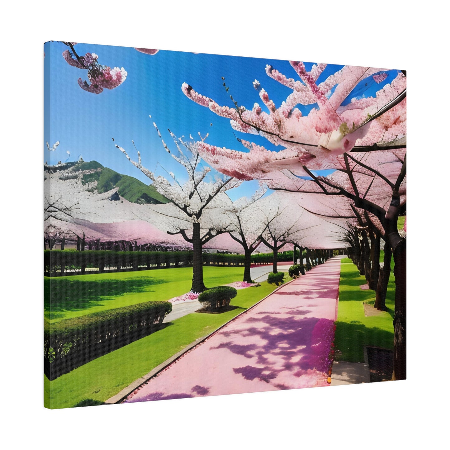 Matte Canvas, Cherry Blossom