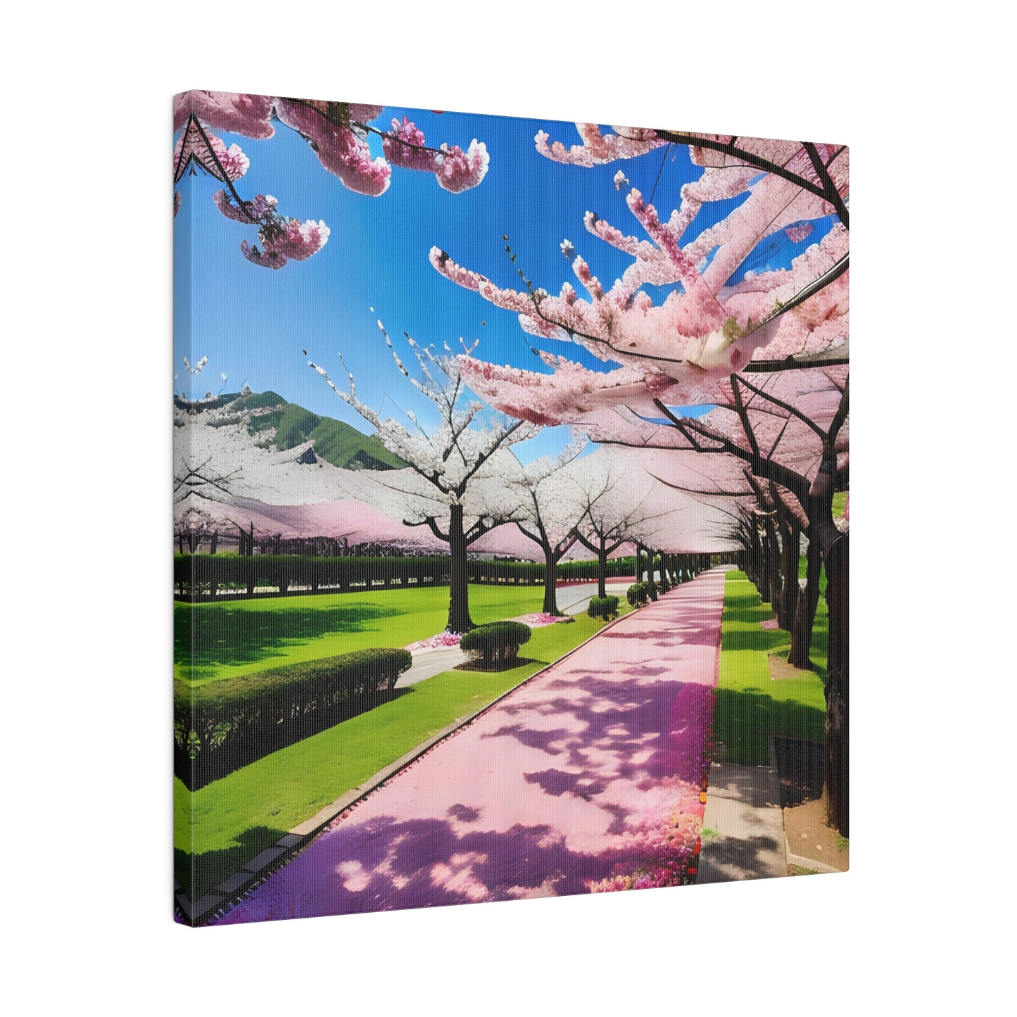 Matte Canvas, Cherry Blossom