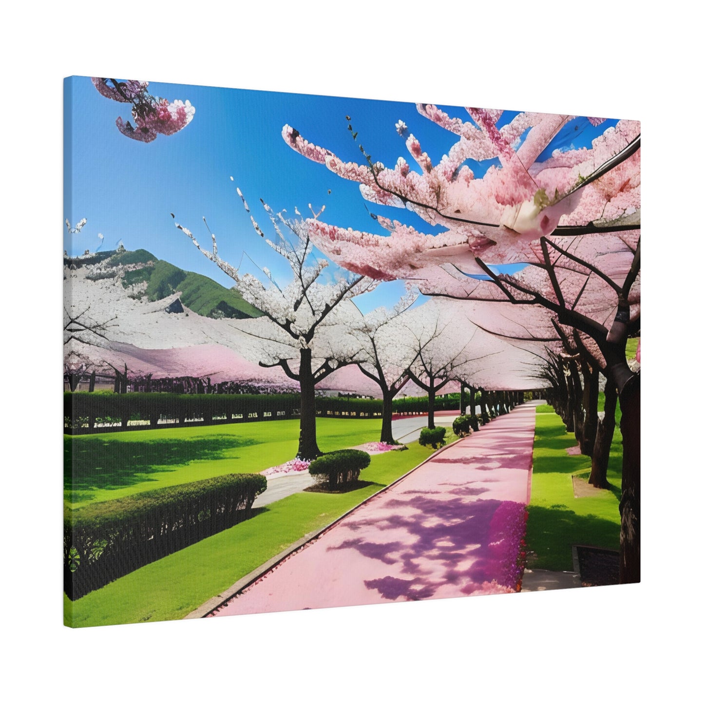 Matte Canvas, Cherry Blossom