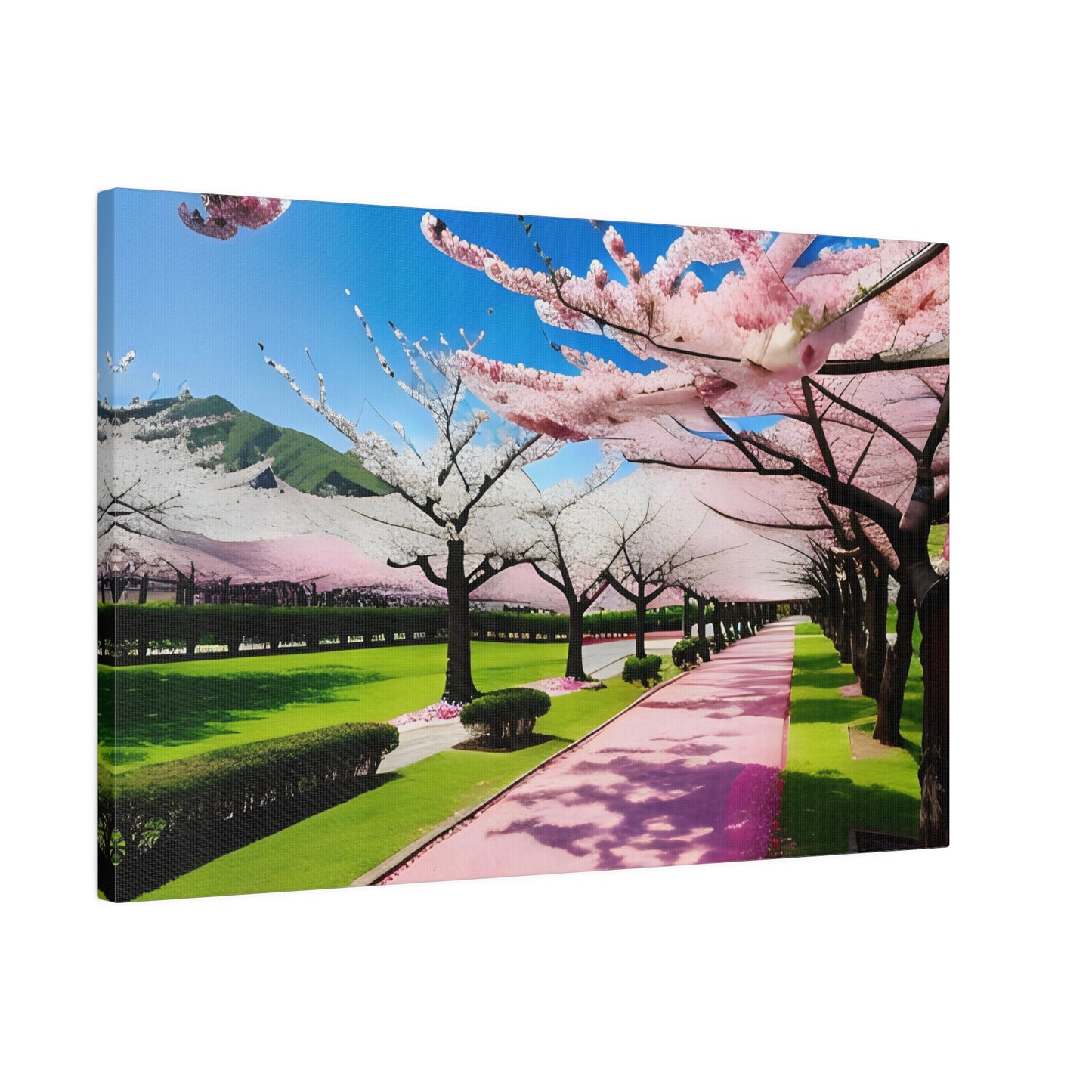 Matte Canvas, Cherry Blossom