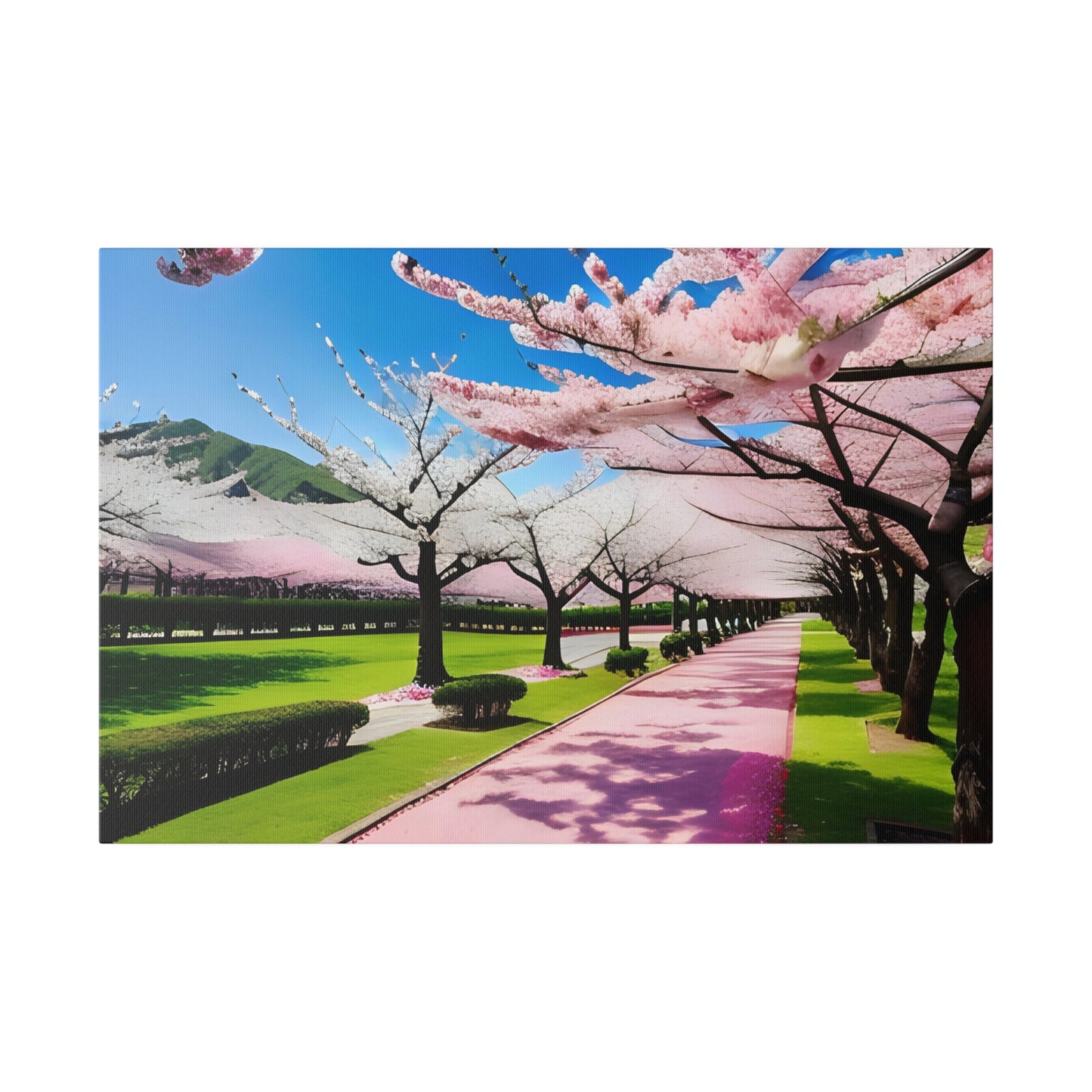 Matte Canvas, Cherry Blossom