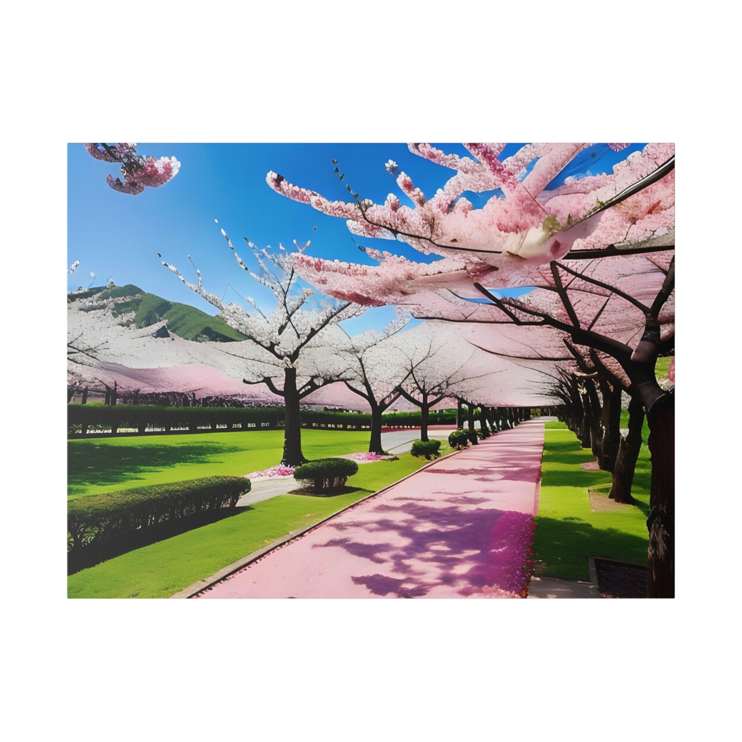 Matte Canvas, Cherry Blossom